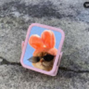 Meet your Posher, Alejandra